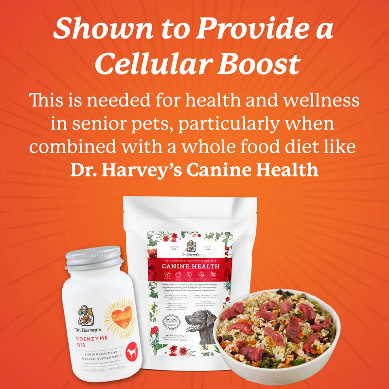 Dr. Harvey's Coenzyme Q10 - Heart & Cardiovascular Support Supplements for Dogs, 60 Capsules - BeesActive Australia
