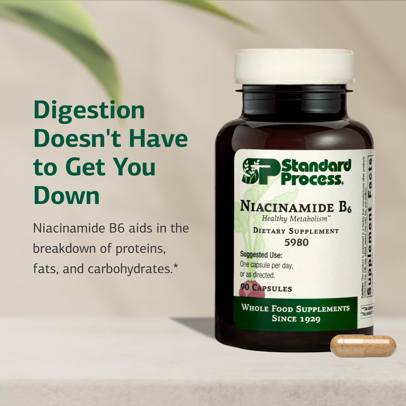 Standard Process Niacinamide B6 - Supports Energy Metabolism & Nervous System Health - Aids Blood Flow & Digestive Health with Niacin & Vitamin B6 - Non-Dairy - 90 Capsules