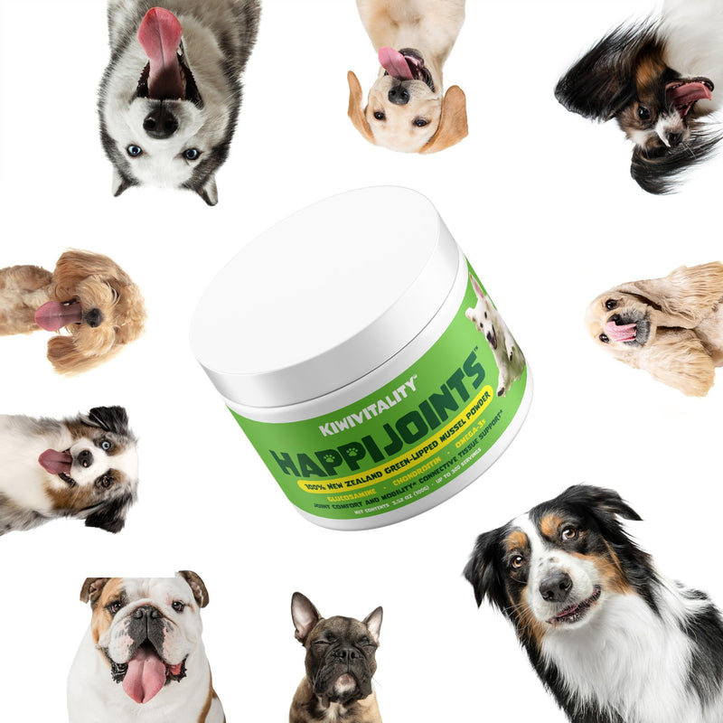Green Lipped Mussel Powder for Dogs & Cats - Premium Hip & Joint Support for Joints, Tendons, Ligaments (400 Grams, Up to 1200 Servings) 2-Pack - PawsPlanet Australia