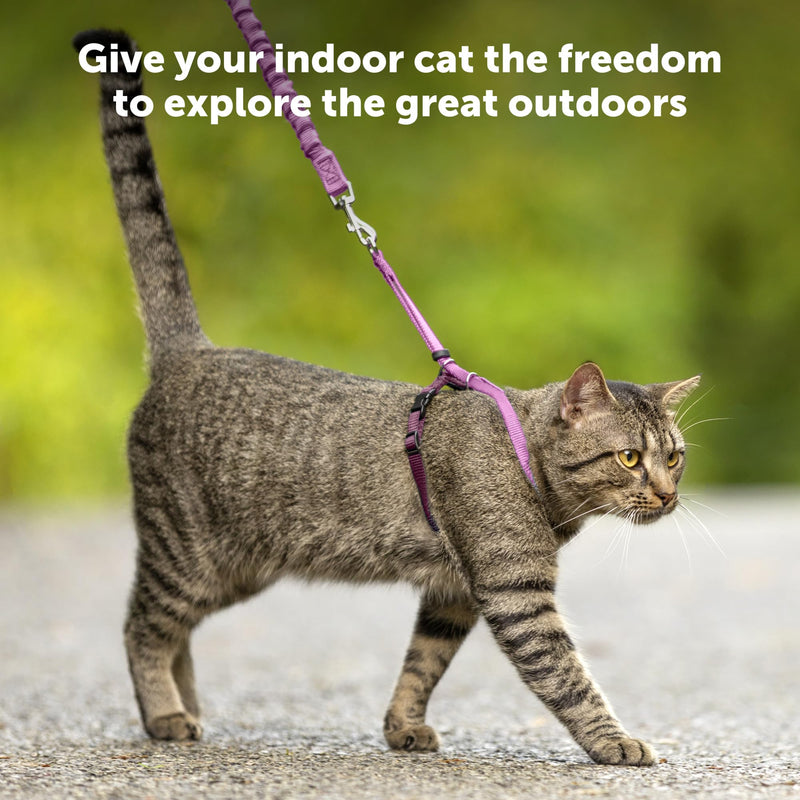 PetSafe Come with Me Kitty Harness and Bungee Cat Leash, Medium, Purple/Light Purple Medium (Pack of 1) - BeesActive Australia
