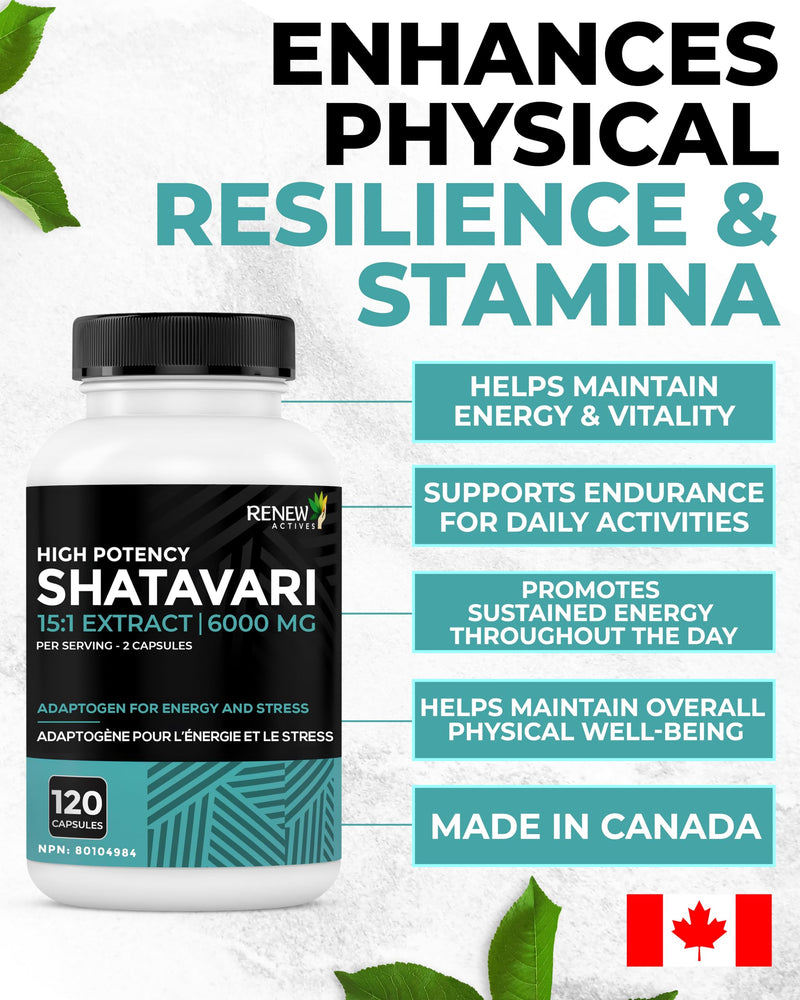Renew Actives Shatavari Capsules ‚Äì Natural Adaptogen for Energy, Vitality, & Endurance ‚Äì Promotes Wellness & Resilience with Ayurvedic Herbs ‚Äì Organic, Vegan ‚Äì Made in Canada ‚Äì 120 Capsules - BeesActive Australia
