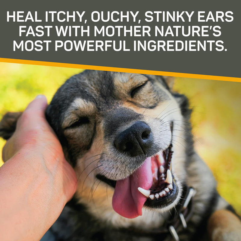 Absorbine Silver Honey Rapid Ear Care Vet Strength Concentrated Doses, 5 Ear Drops for 10 Days on 1 Ear for Dogs & Cats, Medical Grade Manuka Honey & MicroSilver BG - BeesActive Australia
