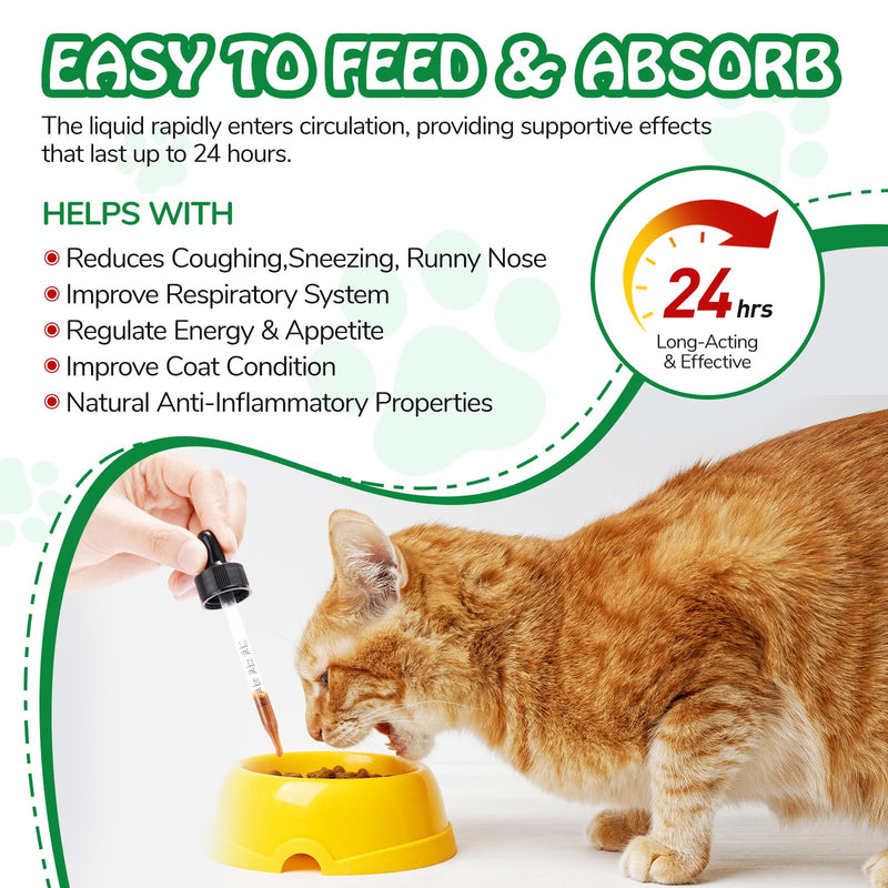 Antibiotics for Cats, Cat Antibiotics for Infections, Supports Immune & Cats Allergy Itch Relief, Health Supplies cat UTI Cat Multivitamin, 60ML