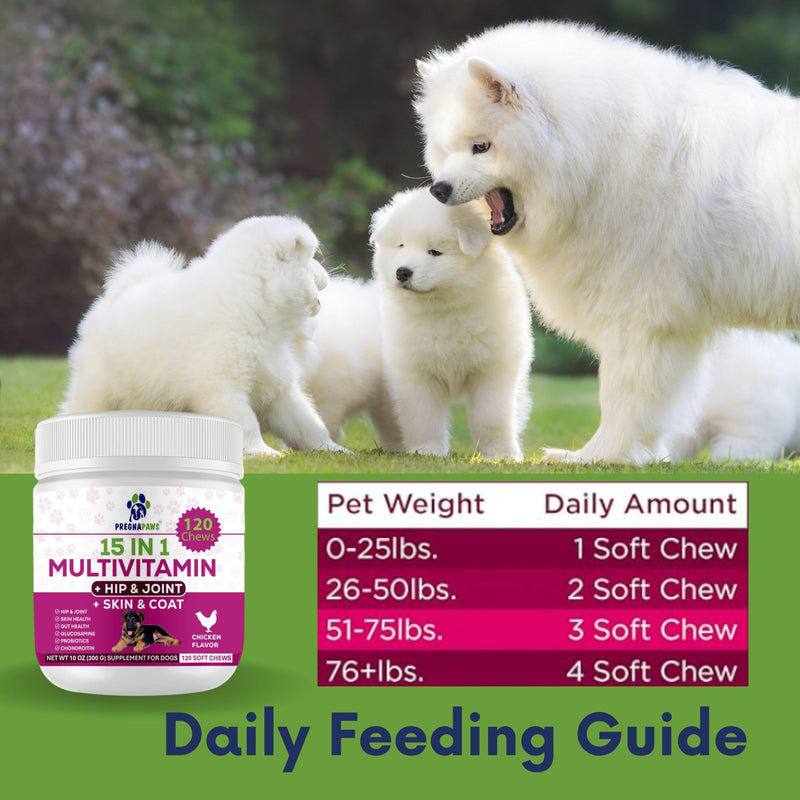 15-in-1 Postnatal Vitamins for Dogs - Enhances Recovery, Supports Joint Health, Skin & Coat Care - Probiotics & Multivitamins for Nursing Dogs - 120 Chewable Chicken Flavor Tablets