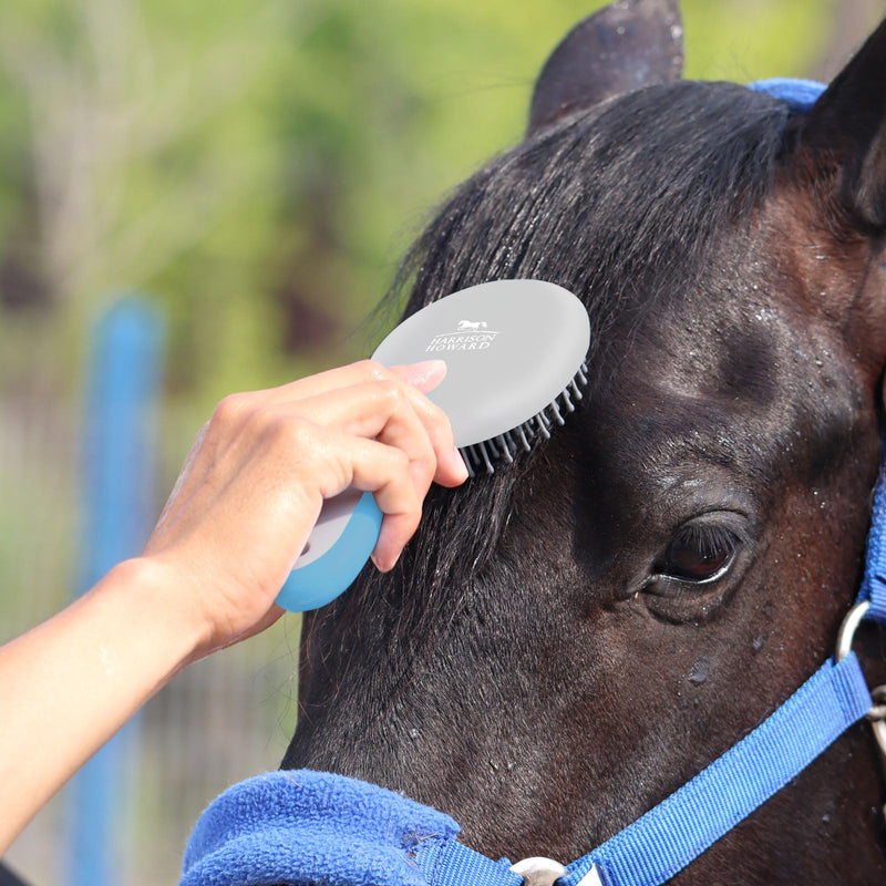 Harrison Howard Horse Mane and Tail Brush Horse Professional Grooming Brush Equestrian Detangler Non-Slip Brush Light Blue - BeesActive Australia