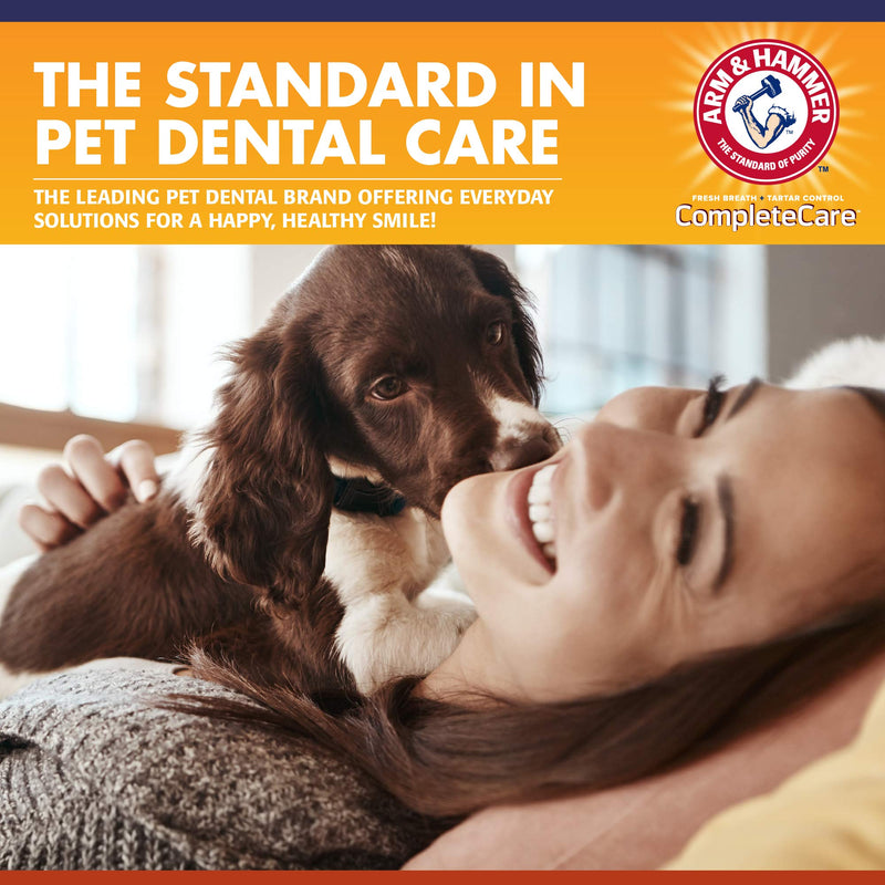 Arm & Hammer Complete Care Dog Dental Spray, 6 Fl Oz | Mint Flavor Dog Dental Spray for Easy Brushless Cleaning | Baking Soda Enhanced Formula for Fresh Breath and Tartar Control 6 Fl Ounce (Pack of 1) - BeesActive Australia