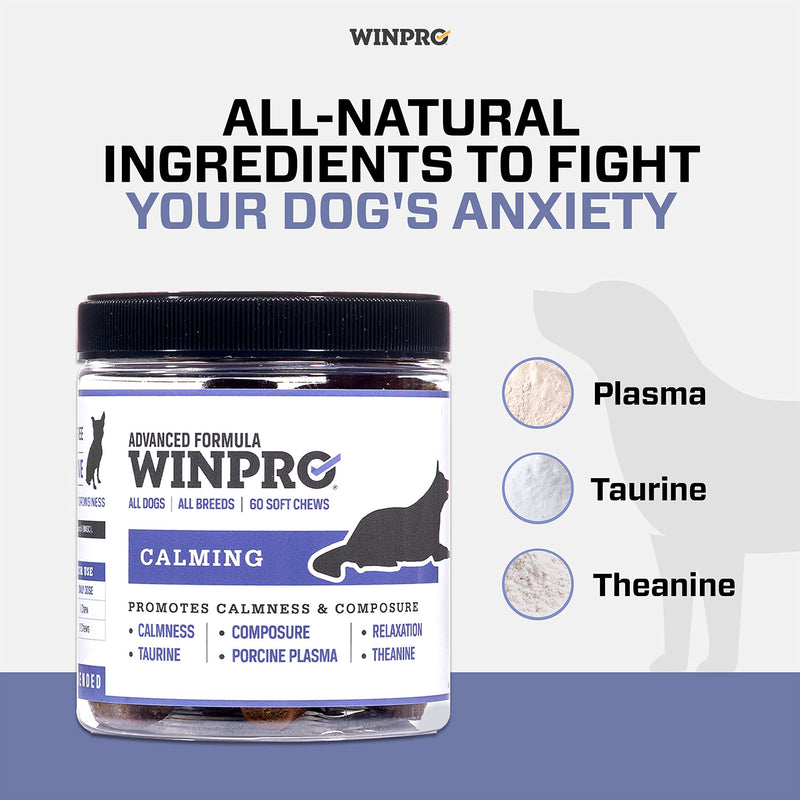 WINPRO Calming Chews for Dogs – Plasma-Powered for Dog Anxiety & Stress Relief– Fast-Acting Dog Calming Chews - Natural Ingredients, Grain-Free - Suitable for All Breeds & Sizes –60 Count Made in USA - PawsPlanet Australia