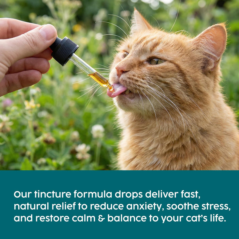 Cat Calming Drops, Cat Calm Stress & Anxiety Relief, 100% Herbal Blend, Use for Calms, Travel, Grooming, Fireworks, Better Value than Plug In for Cats - (50ml)