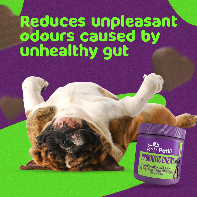 PROBIOTIC CHEWS - dog probiotics for gut health - digestive enzymes for dogs - Improve digestion, reduce diarrhea, itching and discomfort and eliminate foul odours. 120 Chews per tub