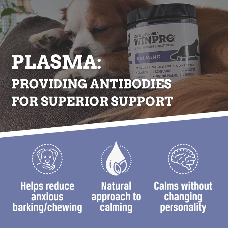 WINPRO Calming Chews for Dogs – Plasma-Powered for Dog Anxiety & Stress Relief– Fast-Acting Dog Calming Chews - Natural Ingredients, Grain-Free - Suitable for All Breeds & Sizes –60 Count Made in USA - PawsPlanet Australia