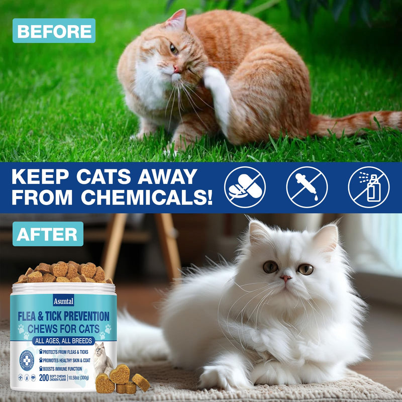 Cats Chewable, Natural Oral Kitten with Vitamins Support Immune Skin & Coat 200 Soft Chews (Chicken)