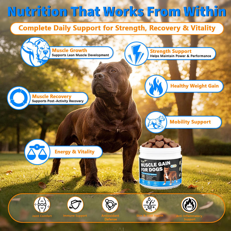 Muscle Gain Power Soft Chews for Dogs– Dog Weight Gainer Treats with BCAA Amino Acids for Muscle Build,Growth & Recovery, L-Arginine & L-Glutamine,for Bully & All Breeds,100 Counts