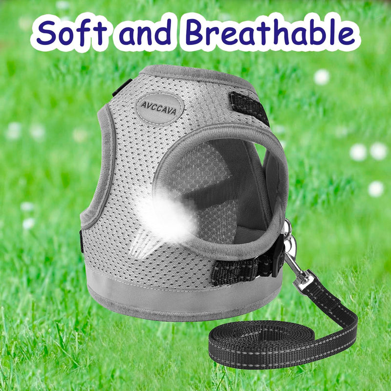 Cat Harness and Leash for Walking, Kitten Escape Proof Harnesses, Adjustable Reflective Puppy Harness with Leashes Set, Easy Adjustable Soft net Breathable Pet Safety Vest L (Chest: 15" - 17") Grey - BeesActive Australia