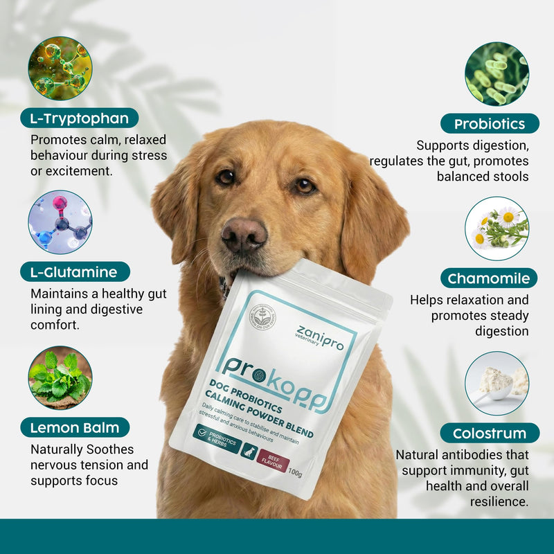 Dog Calming Supplements, Probiotics & L- Tryphtophan Powder for Anxious Dog, Stress and Anxiety for Dogs Support, Fireworks, Car Travel, Long Term Relaxation Treatment - Beef Flavour, 100g