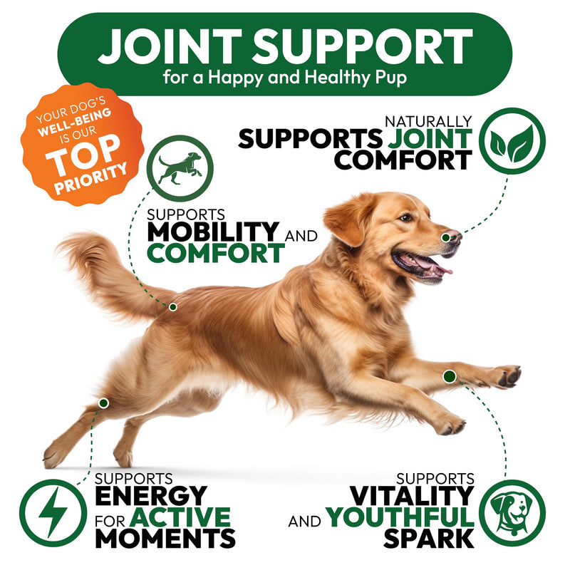 Glucosamine for Dogs - 250 Chews with Chondroitin - Hip and Joint Supplement with MSM - Turmeric - Omega 3 - Joint Pain Relief - Advanced Support for Dog Health - For Large, Medium & Small Breeds 250 Treats