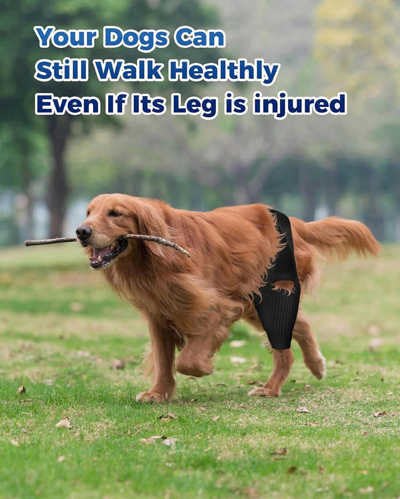 Dog Knee Brace, Dog ACL Brace for Front Torn and Back Hind Rear Legs ACL Tear, Dog Hip Knee Leg Brace for Hip Dysplasia, Dog Arthritis, Luxating Patella, Medium