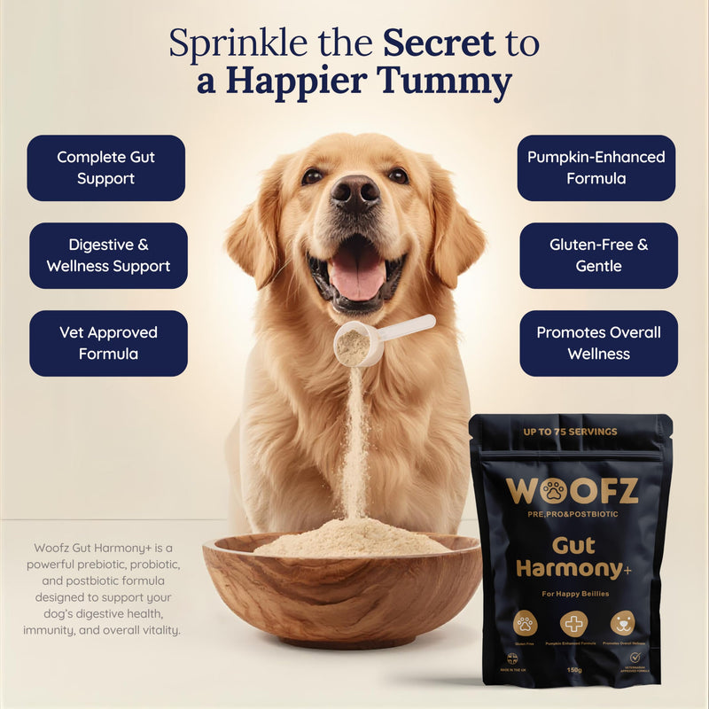 Gut Harmony + Dog Digestive Supplement Powder, Pre, Pro & Postbiotic, Pumpkin-Enhanced, Gluten-Free, 150g, up to 75 Servings