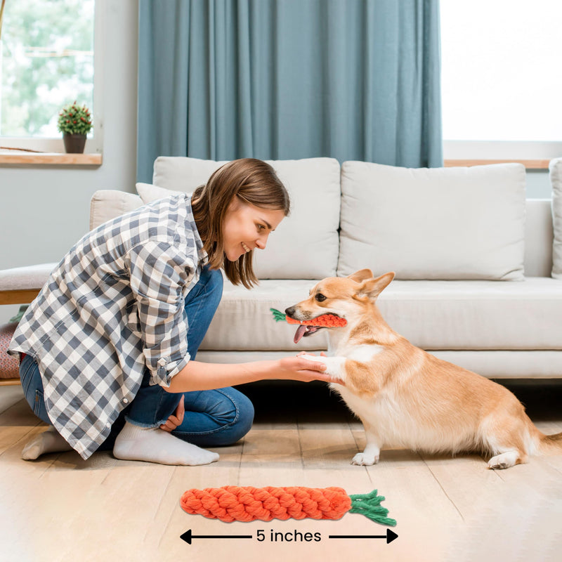 Vaulted Skulls & Co Carrot Dog Toy Small 5" | Carrot Shaped Dog Toy | Teething Carrot Dog Toy | Small Dog Carrot Toy | Biting Carrot Dog Toy | 5 Inches 1 Pack - BeesActive Australia