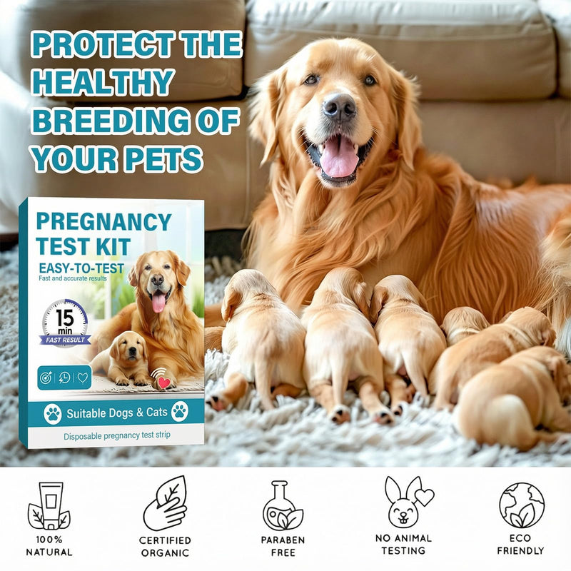 Dog Pregnancy Test Kit at Home - Accurate and Fast Dog Pregnancy Test, Convenient & Disposable Pregnancy Tests Strip (1PCS) 1 Count (Pack of 1)