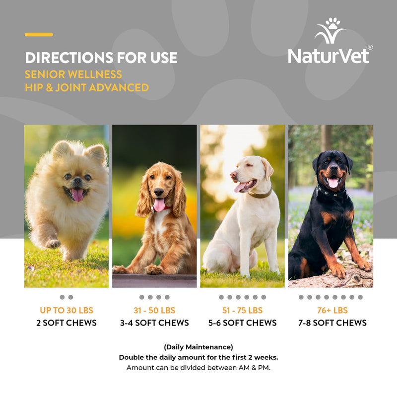 NaturVet – Senior Wellness Hip & Joint Advanced Plus Omegas | Help Support Your Pet’s Healthy Hip & Joint Function | Supports Joints, Cartilage & Connective Tissues | 120 Soft Chews 120 SoftChews - BeesActive Australia