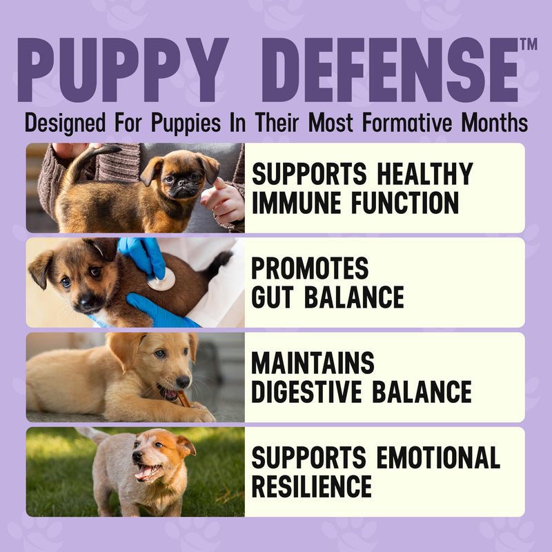 Better Dog Supplements by Cesar Millan® Puppy Defense – Natural Immune Support Powder for Young Dogs – Immunity, Gut Balance, Digestive Health & Early Wellness – 4oz, (60-Day Supply)