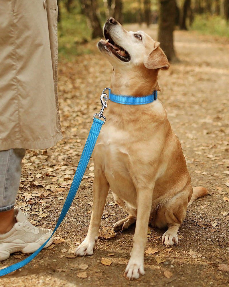 TagME Small Dog Collar, Adjustable Reflective Nylon Dog Collar with Quick Release Buckle, Sky Blue, 5/8" Width Small (Pack of 1) - BeesActive Australia