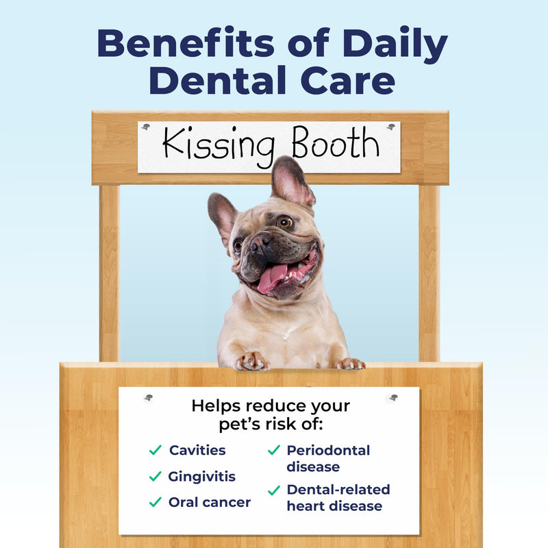 Vetnique Dentabliss - Dog Teeth Cleaning Finger Mitt Dental Wipe - Dog Plaque & Tartar Prevention with Brushing Beads - Flavored Dog Teeth Wipes, Dog Breath Freshener (Chicken) Chicken - PawsPlanet Australia