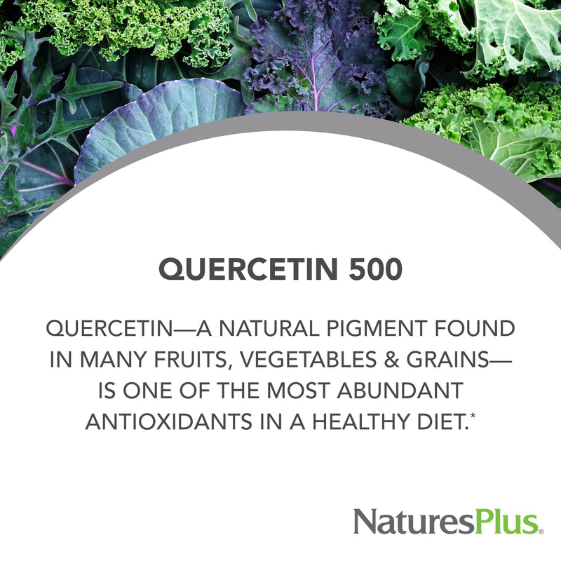 NaturesPlus PRO Quercetin 500 mg - 60 Capsules - Promotes Free Radical Protection & Supports Healthy Immune Response - Non-GMO, Vegan & Gluten Free - 60 Servings