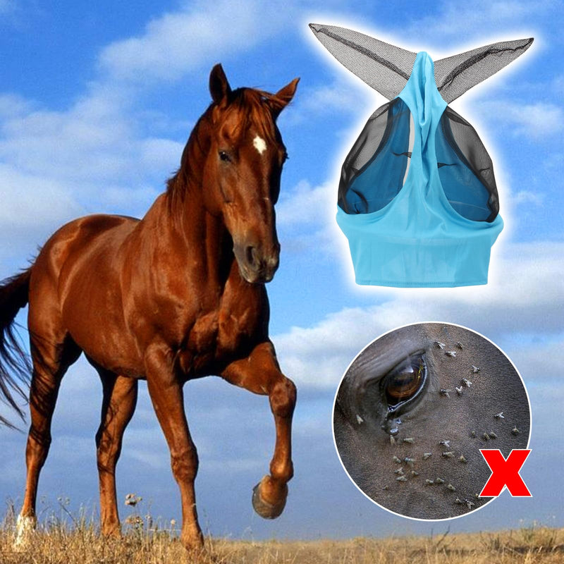 10 Pcs Horse Supplies 8 Pcs Mesh Fly Boots and 2 Pcs Horses Fly Masks with Ears Set, Fly Masks with Ears Smooth, Protective Breathable Mesh Horse Leggings for Preventing Painful Fly Bites - BeesActive Australia