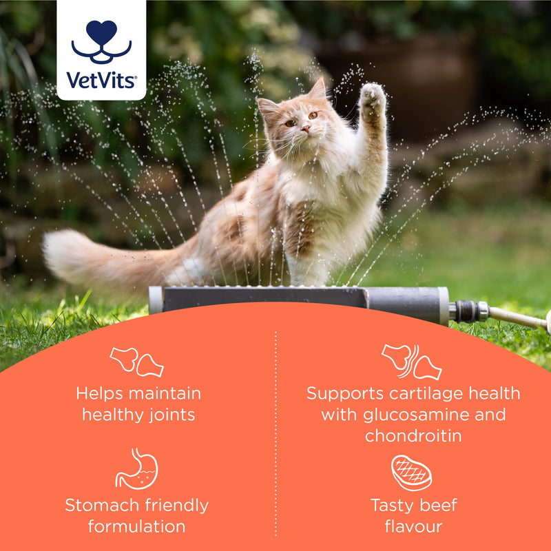 by Healthspan Flexi-Joints For Cats (4 months' supply) | Advanced Blend of Glucosamine & Chondroitin to support your cat's joint health | With Vitamins C & E | Tasty beef flavoured
