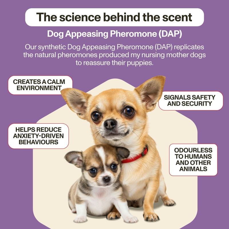 Omni Dog Calming Plug In Diffuser with Pheromones for Dogs - Inspired by Nature, Helps Calm Your Dog from Separation Anxiety, Fireworks, Travel or Tension, Covers 700 Sq Ft, Diffuser & x2 48ml Refills Calming Plug In Diffuser + 2x Refill