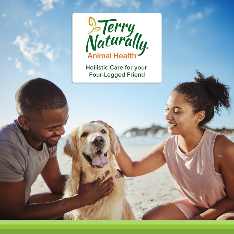 EuroPharma (Terry Naturally) Healthy Teeth & Gums 60 Chewable