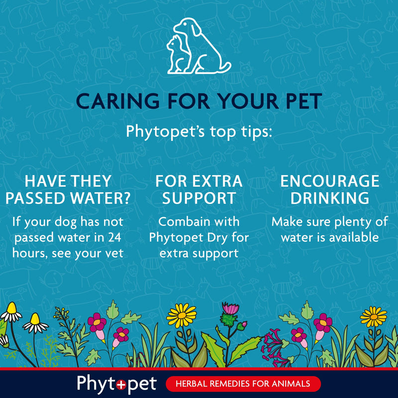 Phytopet Aqua, All Natural Cat and Dog Bladder Control for Small Pets, Fast-Acting Herbal Pet Remedy 30ml - 100% Herbal Phytopet Pet Supplies