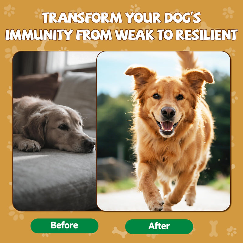 Mushrooms for Dogs - Turkey Tail Mushroom - Immune Health Support, Gut, Skin, Joint + 2 Pack Organic Mushroom Supplement for Dogs - 18-in-1 Blend with Turkey Tail, Reishi, Lion's Mane