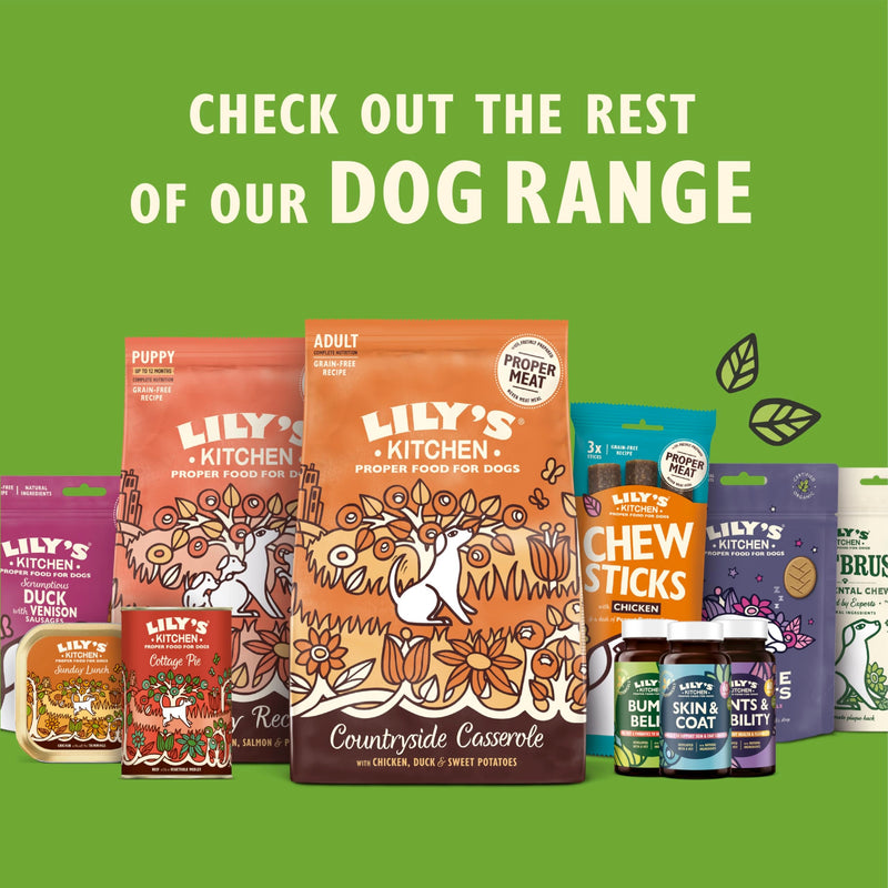 Lily’s Kitchen Skin & Coat Supplements for adult dogs & senior dogs. 60 Tablets. Made with Natural Ingredients, Hyaluronic acid, Biotin & Vitamin C and Fish oil powder One Size