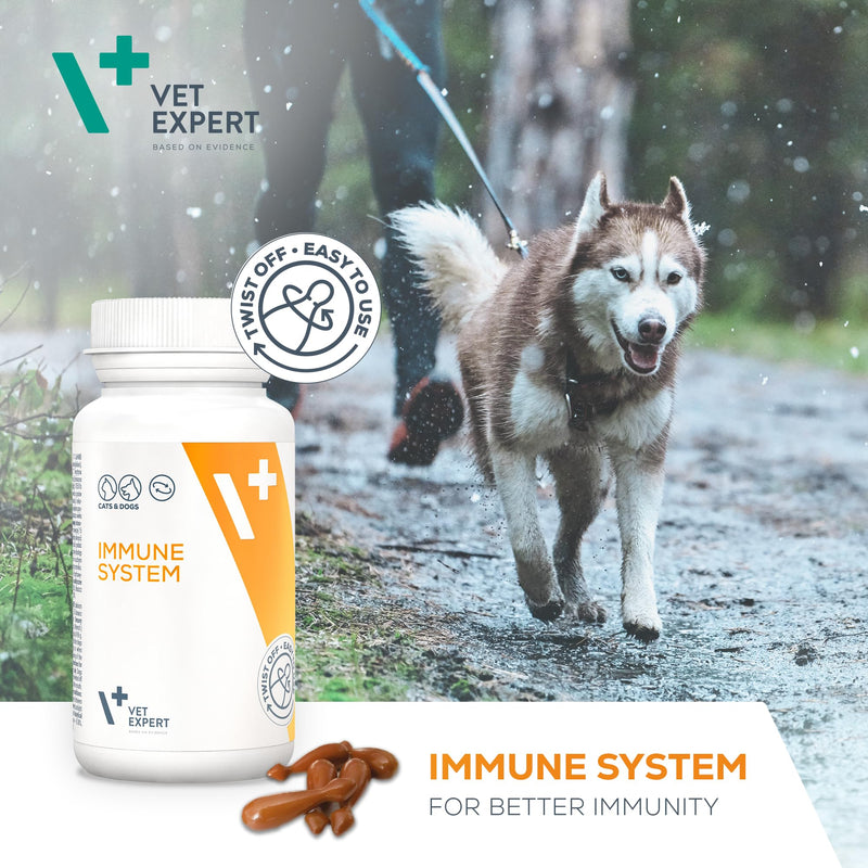 Vet Expert Immune System Support Supplement for Dogs and Cats – Boosts the Immune System with Beta-Glucan, HMB, and Echinacea Purpurea Extract – 30 Twist-Off Capsules