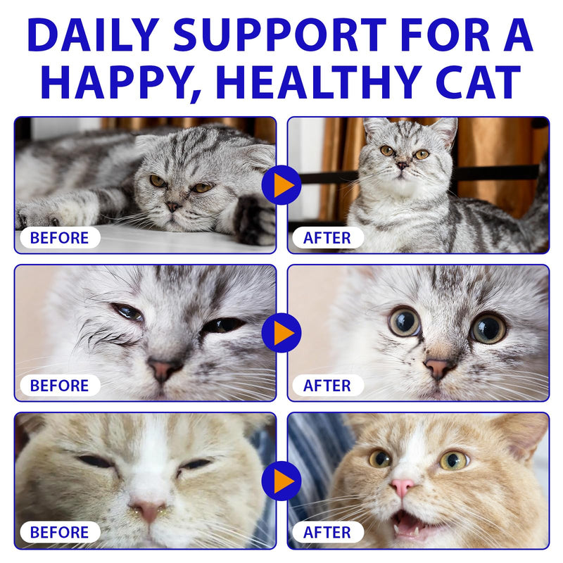 L-lysine for Cats, Cat l-lysine Drop, Lysine for cats, Cat Immune Support drops, lysine Drops for Sneezing, Runny Nose, Eye Function 60ML - Roast Chicken Flavor