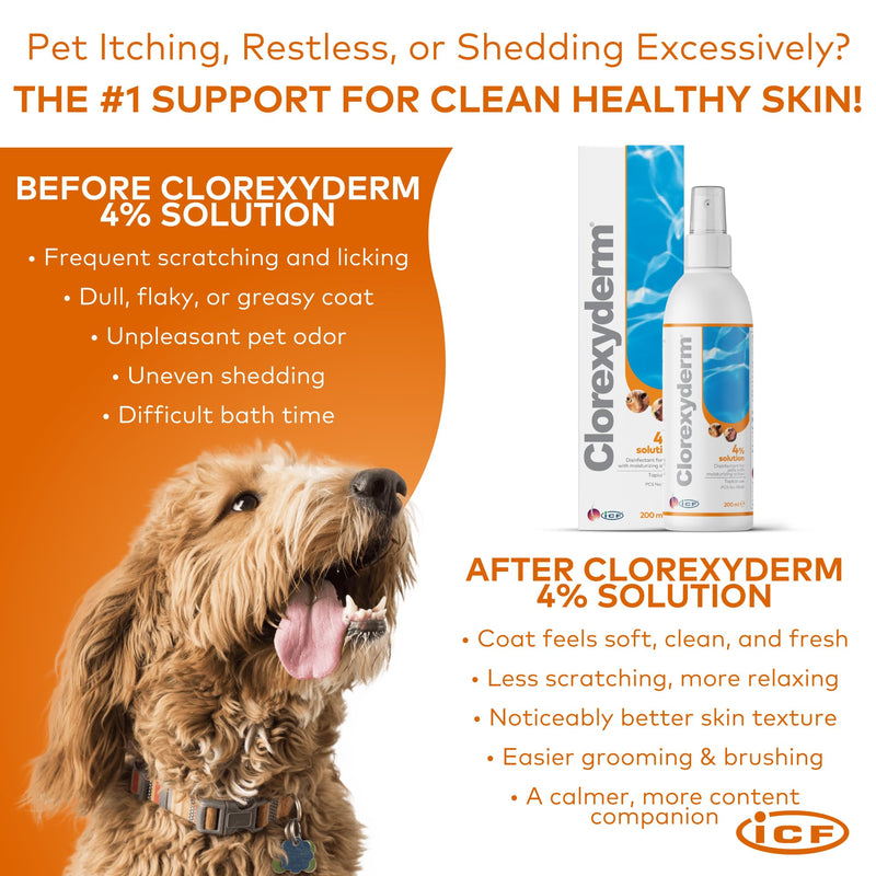 ICF | Clorexyderm 4% Solution Spray for Dogs & Cats | Vet-Recommended No-Rinse Skin Cleanser & Conditioner, 200ml