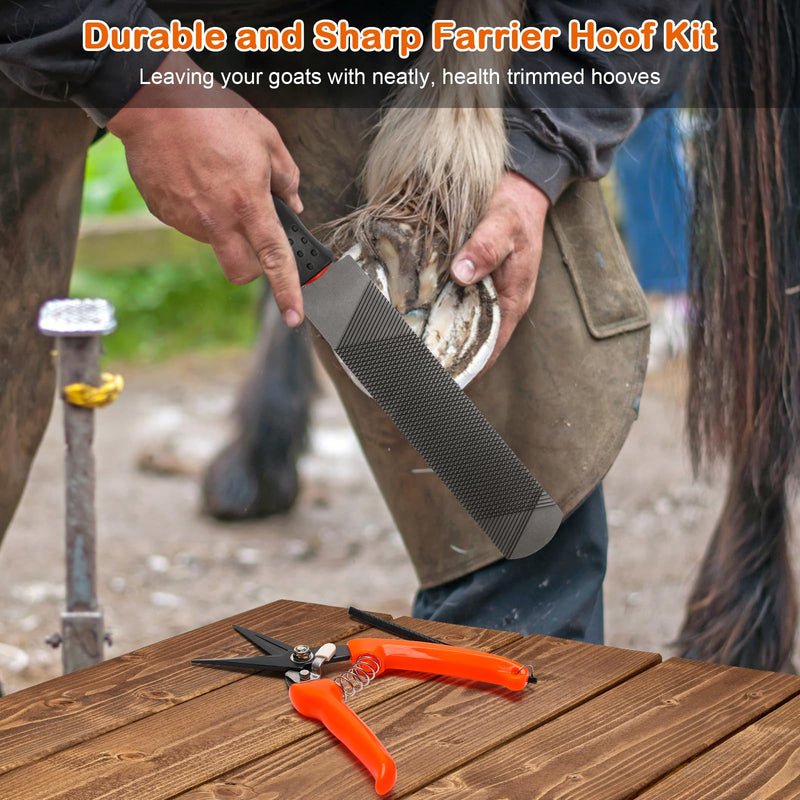 8 inch Farrier Tool Kit, Coldairsoap 3PCS Goat Hoof Trimmers with 1PCS Metal Shears, 1PCS Double-Side Long Handle Rasp, 1PCS Blue Storage Bag, Hoof Rasp File for Goat Sheep, Alpaca, Lamb, Pig - BeesActive Australia