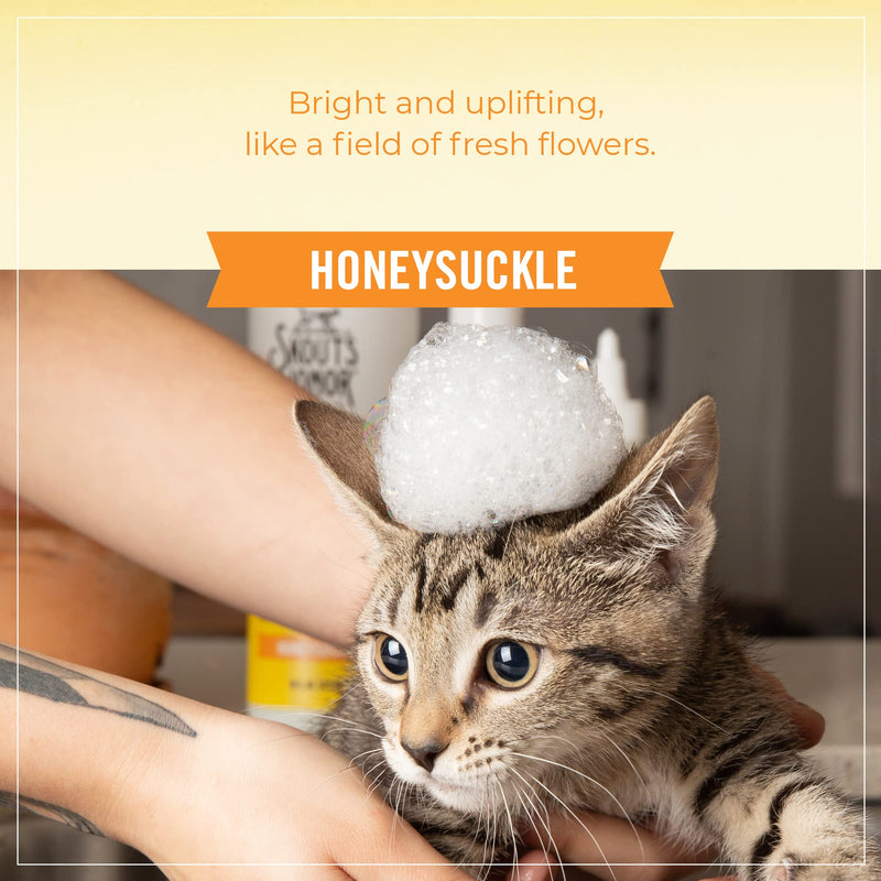 SKOUT'S HONOR: Cat Probiotic Shampoo + Conditioner for a Healthier Skin and Coat - Honeysuckle, 16 oz. - BeesActive Australia