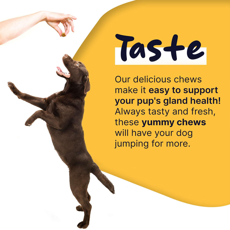 Glands Bowel Support - 120 Delicious Scoot Soft Chews for Scooting, Healthy Anal Glands, and Digestive Health - Made with Pumpkin Powder for Dogs - PawsPlanet Australia