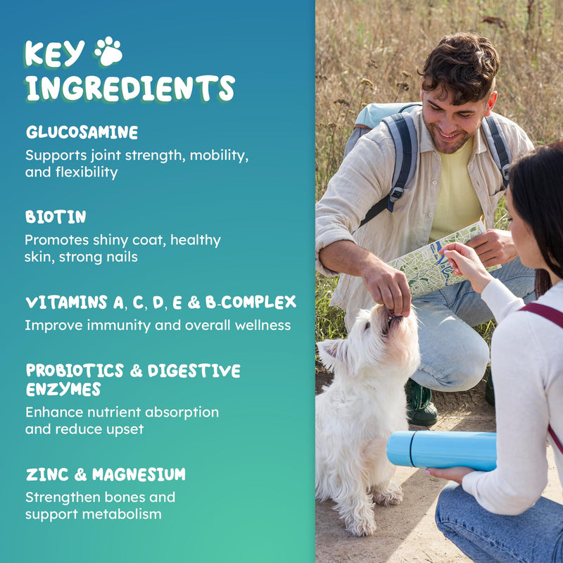 Dog Multivitamin Chews 90ct – 25-in-1 Daily Complete Nutrition Soft Chews with Vitamins, Minerals, Probiotics, Salmon Oil & Digestive Enzymes for Overall Wellness