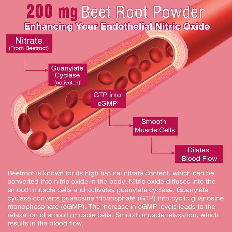 Beet Root Gummies with Iron, Increase Nitric Oxide & Iron Levels, Vegan | Sugar Free, with Methyl B12, Folate, Vitamin C, Energy Support, Fight Fatigue, Beetroot & Gentle Iron Supplement, 60 Count 60 Count (Pack of 1)