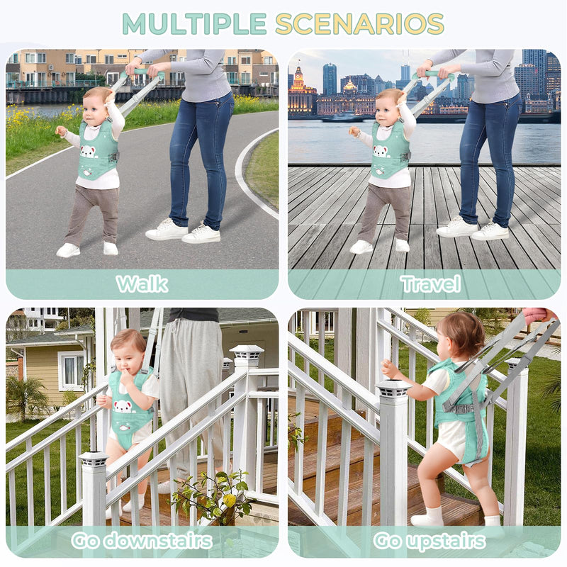 Baby Walking Harness, Handheld Baby Walking Helper for Toddlers with Detachable Crotch, Walk Support Assist Trainer Tool for 7-24 Month Old(Green) Green - BeesActive Australia