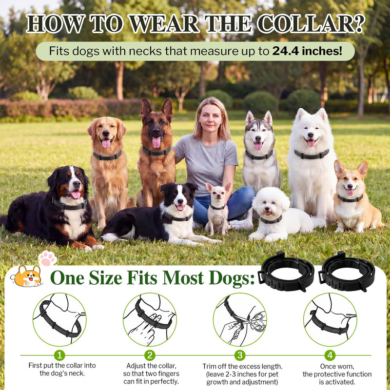Flea and Tick Collar for Dogs with 5 FT Leash, Essential Oils Collars, Rope Dog Leash with Padded Handle, Adjustable Size Dog Walking Set, Flea and Tick Prevention for Dogs, Puppies