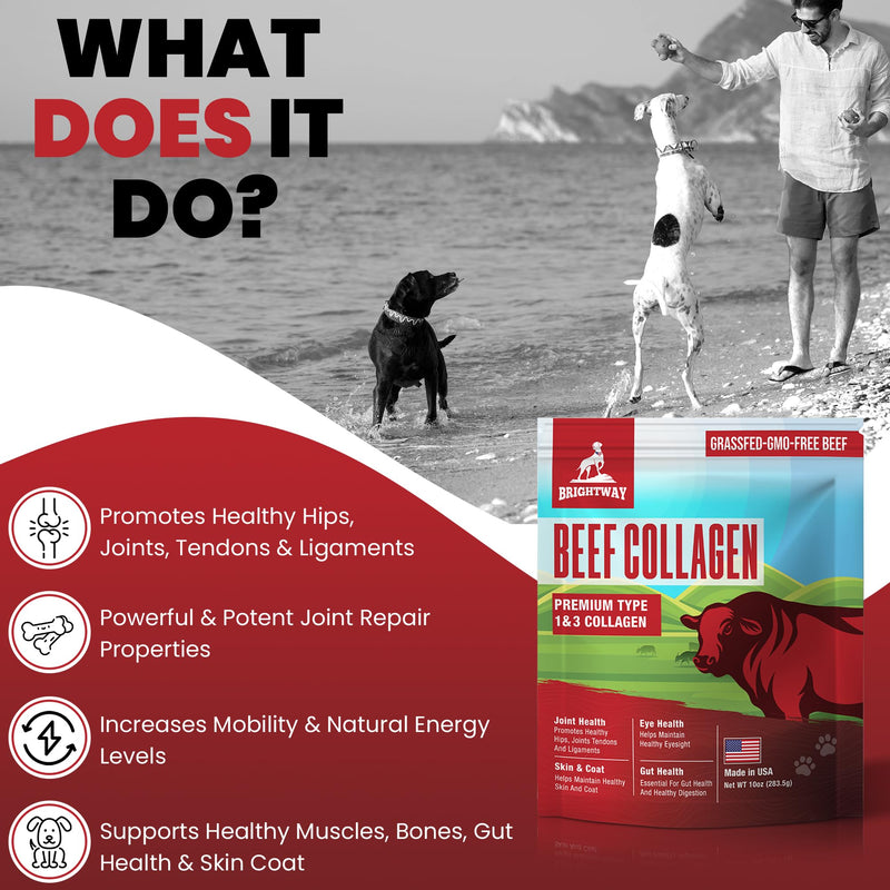 Grass fed Collagen for Dogs - Supports Health Skin & Coat, Hip, Joint Care & Cartilage Support + Skin Health and Mobility, 100% All Natural Collagen - PawsPlanet Australia