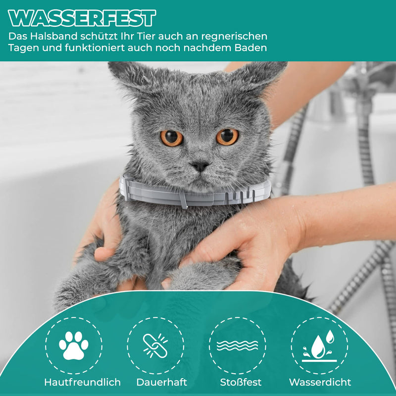 Tick collar for cats and small dogs | Luminous prevention collar against parasites with up to 8 months of protection | Fluorescent collar universally adjustable to any size - BeesActive Australia