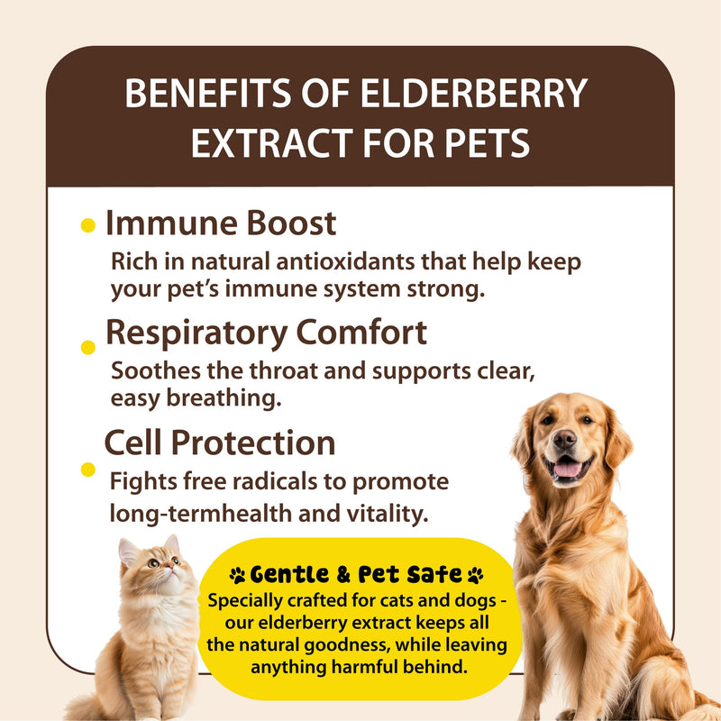 Cough Medicine for Dogs & Cats, Kennel Cough Treatment, Respiratory Infection Support - Sneezing Relief & Cough Treatment - Pet Asthma Support - Made with Natural Ingredients in The USA (4oz) 4oz