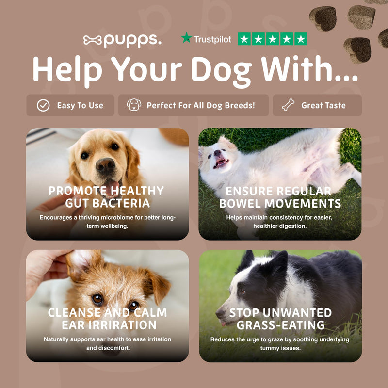 Pupps Pre & Probiotic Dog Treats – 120 Gut Health Chews | 4.5 Billion CFUs with Pumpkin & Digestive Enzymes | For Sensitive Stomachs, Digestion & Immunity | Duck Flavour | Vet Approved, UK Made 120 x Chews