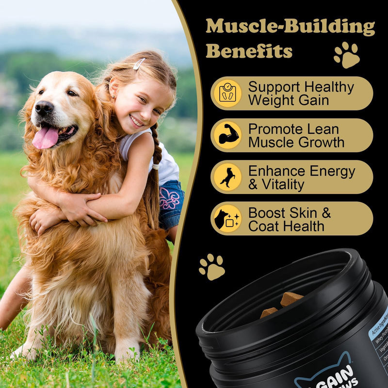 Dog Weight Gainer Supplements - Muscle Builder Chews for Lean Mass - 800mg Whey Protein & BCAAs - High Calorie Food Topper for Picky, Active & Underweight Breeds (100 Ct)